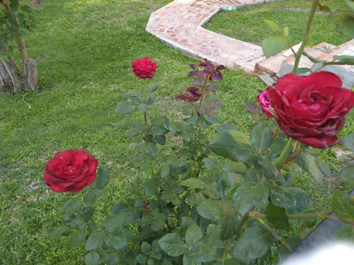 Imagen 14 de 30 de Vendo Hermosa Cabaña - Villa La Ribera - Timbues