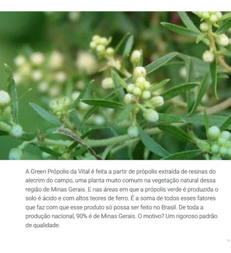 Green Própolis Verde Liquido 30ml Vital Atman Sabor Natural
