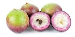 Muda De Caimito, Abiu-roxo Fruta Exótica