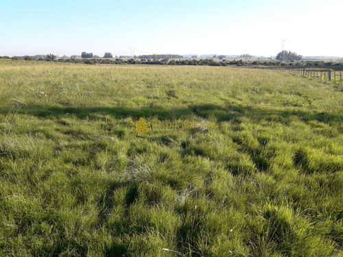 Campo En Ruta 39 - Consulta!!!!!!-ref:3599