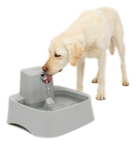 Petsafe Drinkwell Fuente De Agua Para Gatos, Perros O Varias