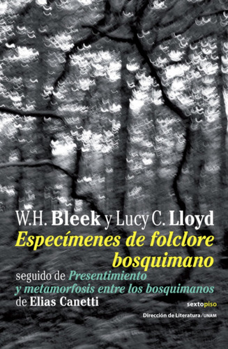 Bleek : Especímenes Del Folclore Bosquimano - Sexto Piso