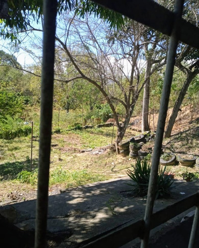 Imagen 11 de 16 de Vendo Finca Araguaney Yaracuy Dt