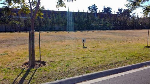 Imagen 10 de 30 de Terreno - Las Lomas-san Isidro