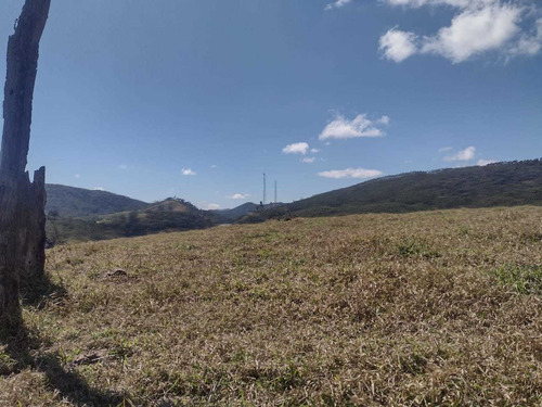 Imagem 12 de 13 de A20- Residencial De Chácaras Leão De Judá A Partir 45 Mil