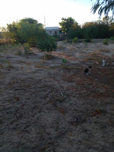 Terreno Vila Dalvina Ii Remanso Bahia