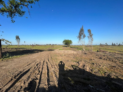 Vende 241 Hás En Parral - Región Del Maule