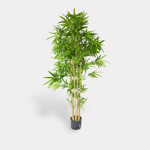 Bambú Planta Artificial De 1.70 Metros 