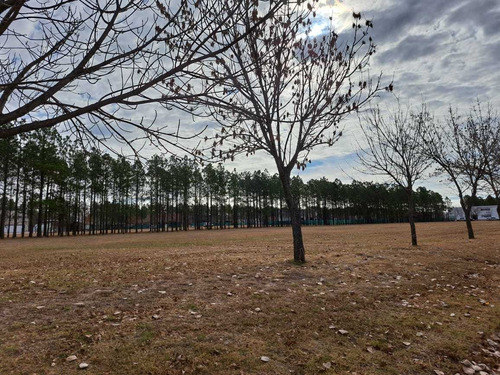 Imagen 8 de 13 de Terreno En Venta Chacras De La Villa