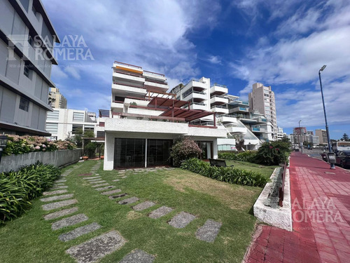 Alquiler Invernal , Zona Puerto , Punta Del Este Sap4254327