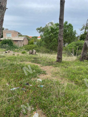 Imagen 3 de 5 de Terreno En Montoya - La Barra Montoya