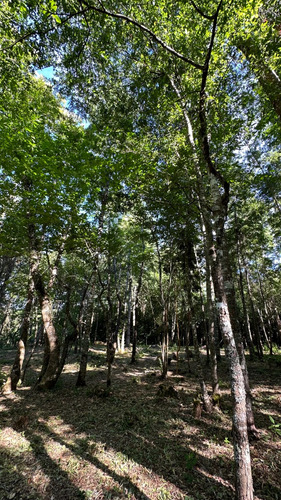 Parcela Urbana En Venta, Gorbea