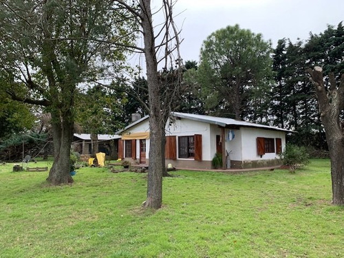 Granja Avícola En San Andrés De Giles (bs. As.)