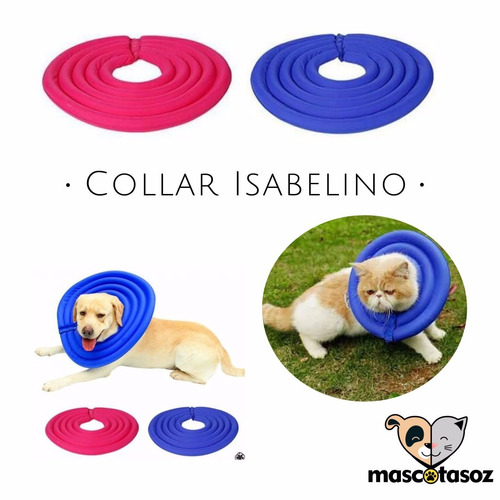 Collar Isabelino Para Perros Y Gatos / Talla M 25cm30cm