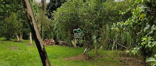 Imagem 4 de 30 de Casa Com 3 Dorms, Area Rural, Pedro De Toledo - R$ 500 Mil, Cod: 821 - V821