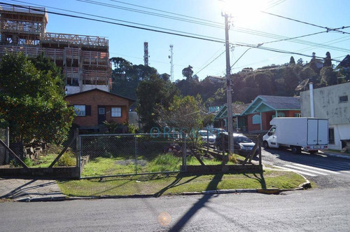 Imagem 5 de 6 de Casa Com 3 Dormitórios À Venda, 70 M² Por R$ 1.170.300,00 - Floresta - Gramado/rs - Ca0147