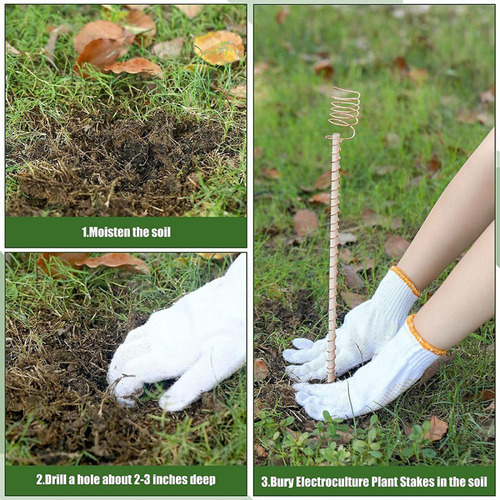 Garden Plant Pile Plant Support Frame Garden Vegetable Plan