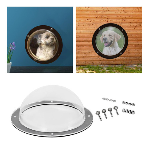 Perro Valla Ventana Domo Claro Paisaje Exterior Visor Para