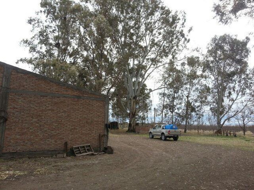 Imagen 23 de 30 de Finca De 62 Ha - General Alvear- Mendoza