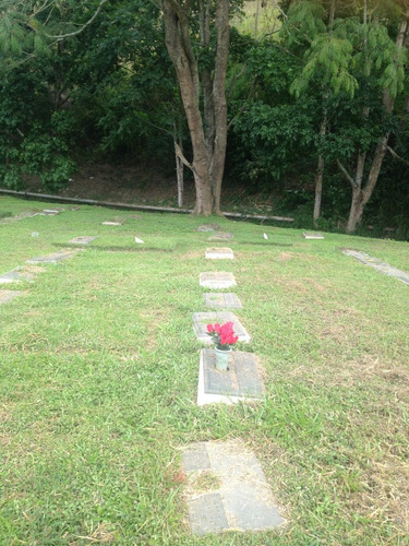 Vendo Parcela En Cementerio Del Este