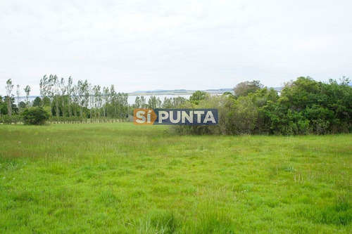 Imagen 3 de 10 de Chacra A La Venta En Laguna Del Sauce