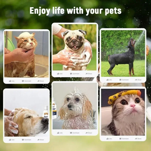 Shampoo E Condicionador Para Cachorros 2 Em 1 Hidratante Nat