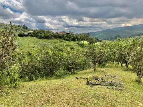 Bitaco, 19.200 M2, Lote En Venta