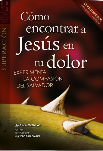 Como Encontrar A Jesus En Tu Dolor - Guia De Estudio