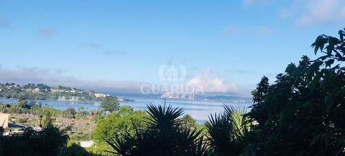 Imagem 8 de 8 de Apartamento - Cristal - Ref: 209490 - V-209602