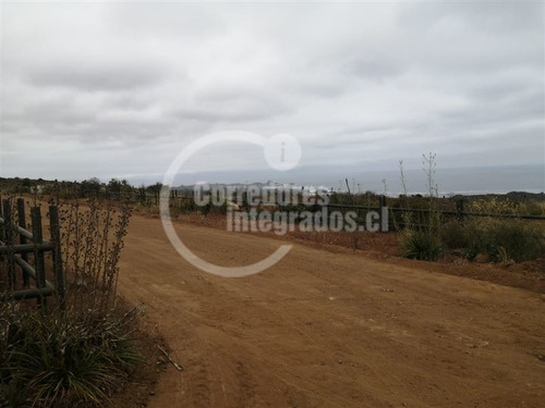 Imagen 12 de 19 de Sitio En Venta En Rocas Del Mar, Los Molles