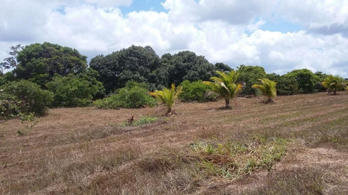 Imagem 25 de 30 de Chácara Com 3 Dormitórios À Venda, 58105 M² Por R$ 900.000,00 - Mendes - São José De Mipibu/rn - Ch0009