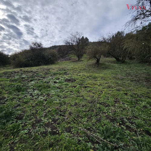Sitio En Venta En Curicó