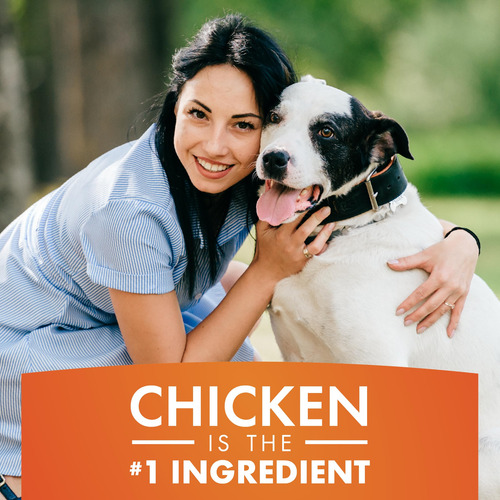 Dog Treats Pur Luv Chicken Jerky 100% Pollo Auténtico, 450 G