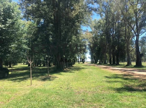 Imagen 22 de 30 de Lote Venta General Rodriguez Barrio Cerrado Villa De Campo 3 Pinos
