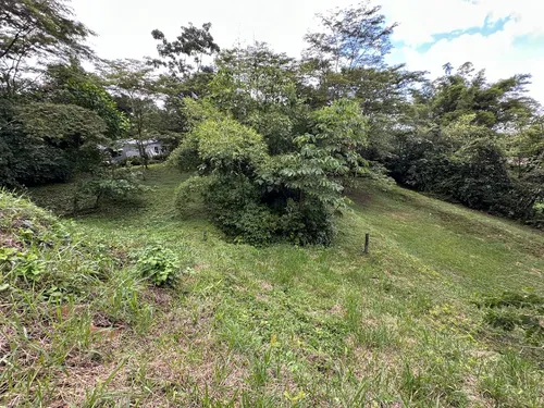 Lote Entre Restrepo Y Cumaral, Caney Medio