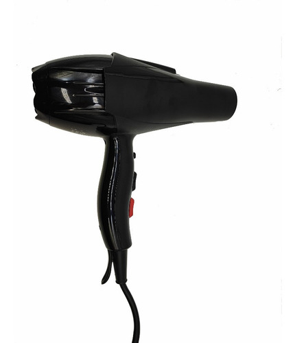 Secador De Cabello Termax Profesional. Salonshine Ion 2400w Color Negro