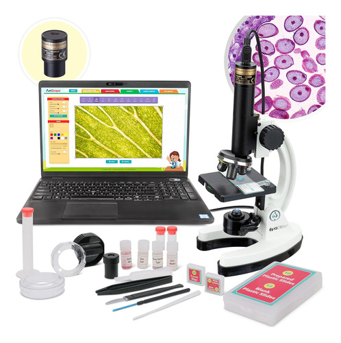 Amscope M40-k-mdm35 Iqcrew De 120 X 1200 Unidades Para Niños