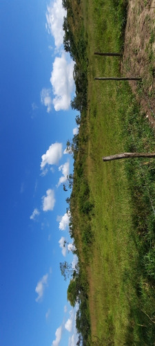 Imagen 13 de 14 de Se Vende Finca 72 Has Orilla De Carretera Manzanita