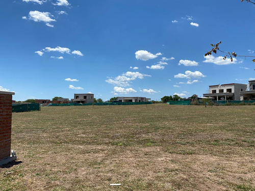 Imagen 7 de 8 de Hermoso Lote Fondo A Verde!