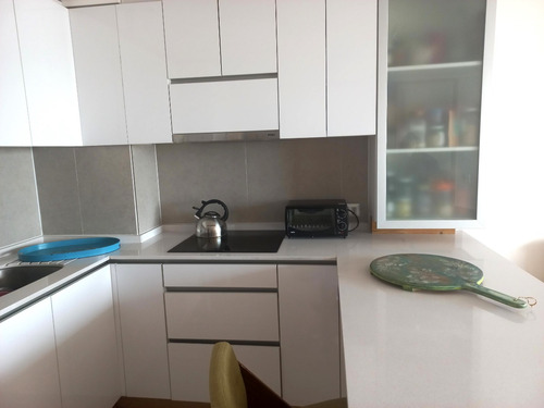 Departamento Amoblado, Excelente Ubicación De Providencia