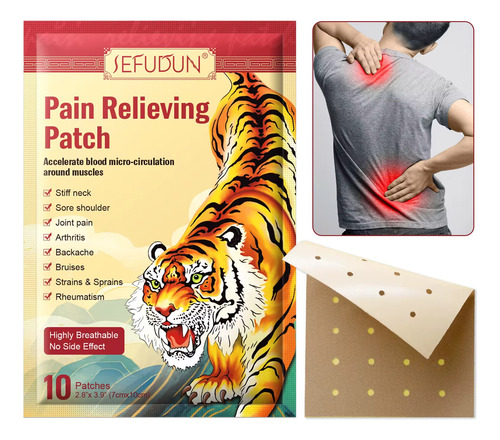 Parche Para Dolor Muscular, Artritis, Reumatismo 10 Pzas
