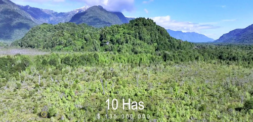 Inversión En Aysén Naturaleza Y Río A Tu Alcance