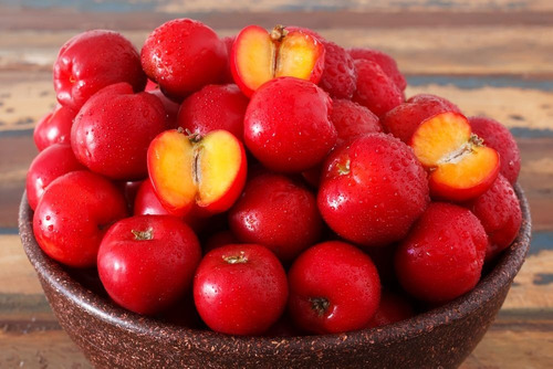 Muda De Acerola - Malpighia Emarginata Para Vasos E Bonsai !