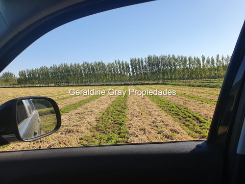 Campo En Venta De 70 Has Ubicado En Tratayen