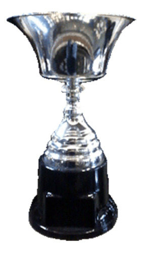 Copa Premio Modelo 170/2 De 20,5 Cm