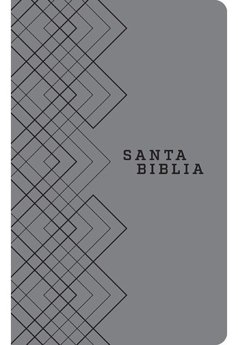 Santa Biblia Ntv Edición Ágape (ed. Símil Piel Gris)