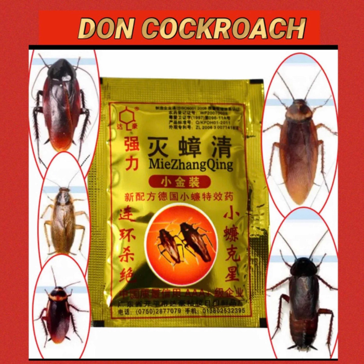 My Image 37