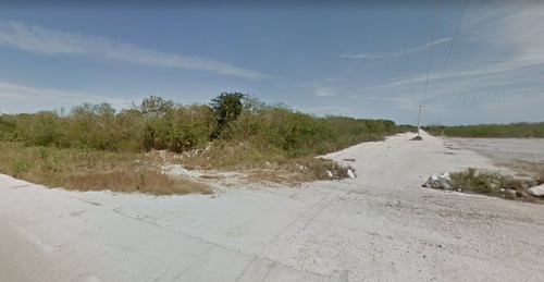 Imagen 1 de 7 de Macro Lotes De Inversión En Carretera Chicxulub