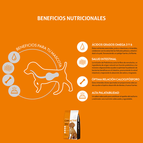 Alimento Completo Perro Cachorro Canactive x 20kg