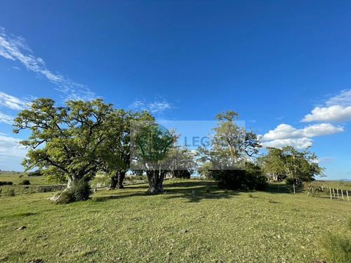 Campo En Venta De 53 Has. Con Vivienda Y Arroyo, Prox Minas